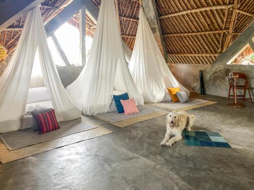 Gubat Apartment | Baia Nest TURINGAN Loft, Self-Service Breakfast, Near the Beach, Pet Friendly with a Fee