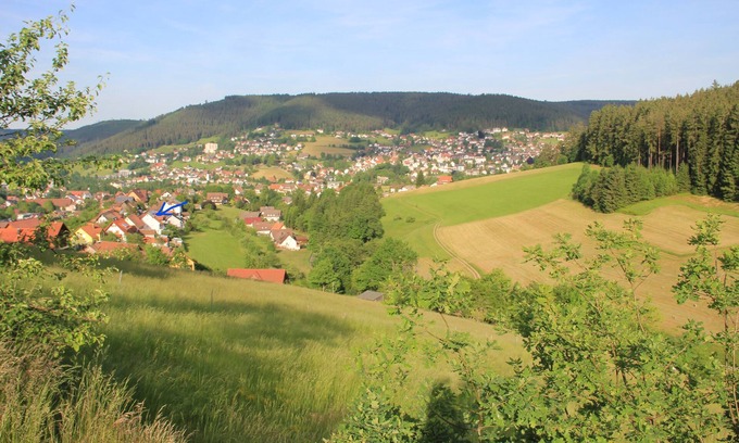 Baiersbronn Apartment | Baiersbronn, Black Forest, Schwarzwald, view, 2 rooms, sun, balcony, quietness