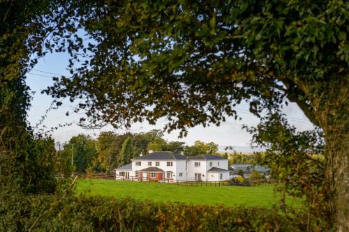Athy Bed & Breakfast | Ballindrum Farm B&B