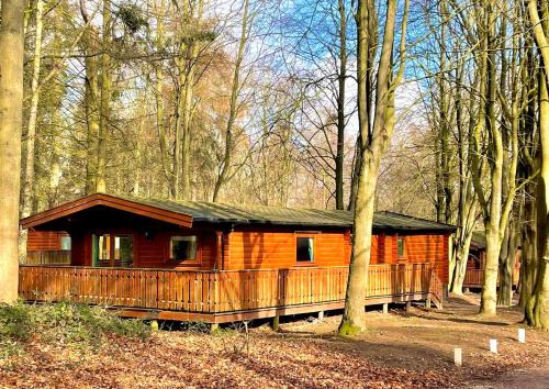 Kenwick House | Bamboo Retreat