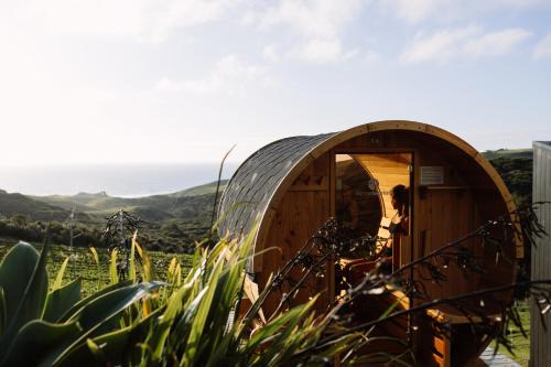 Raglan Apartment | Barrique Studio with Sauna at Barrelled Wines Raglan