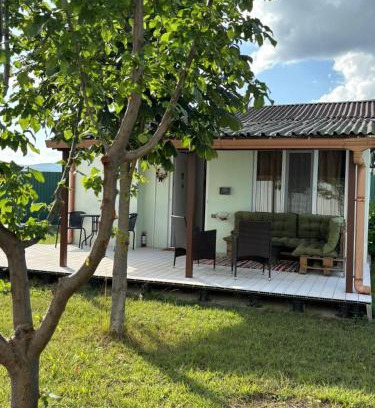 Tsilkani Villa | Bazaleti Field House