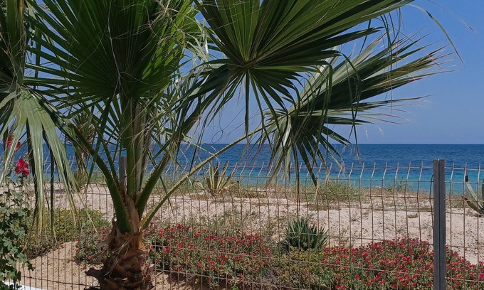 Tantana Condo | Beach Front Luxury Living Apartment