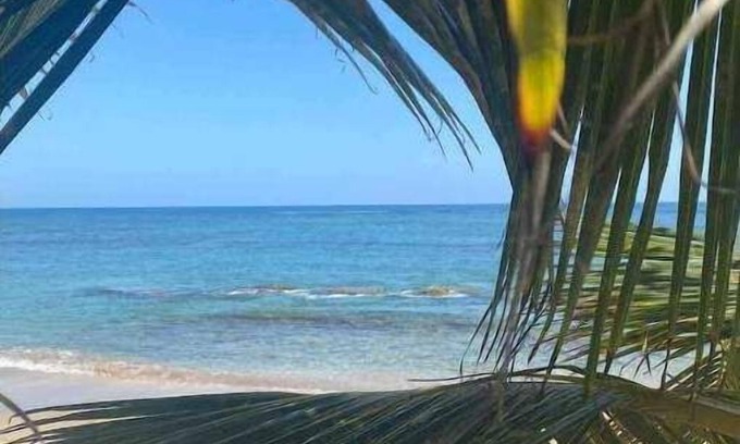 Nagua Apartment | Beach hotel , one mile of beach front hotel, bar , beach club/restaurant