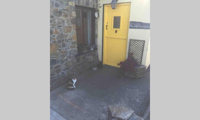Ballybunion House | Bear cottage