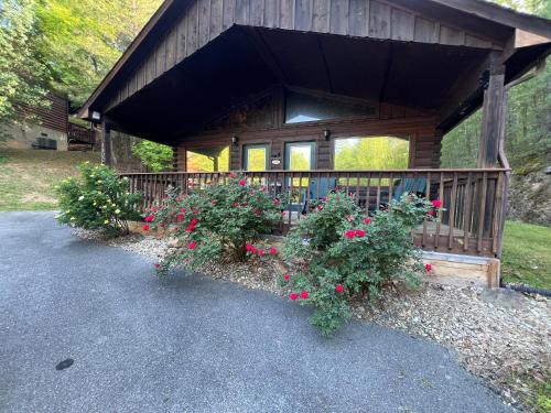 Sevierville House | Beary Tale! Your happily ever after starts here!