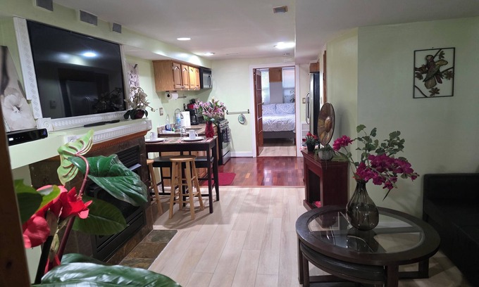 Dupont Circle Apartment | Beautiful 2-BR Apt Sleeps 5 Fabulous Location Historic Street Family-friendly