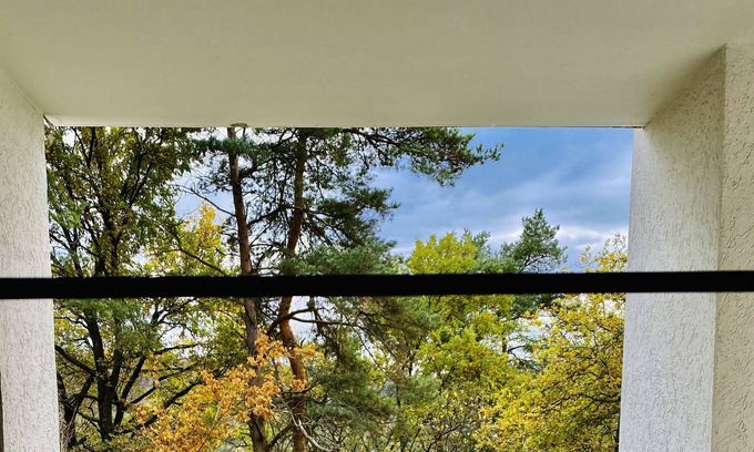 Dillenburg Condo | Beautiful apartment with forest view in Dillenburg