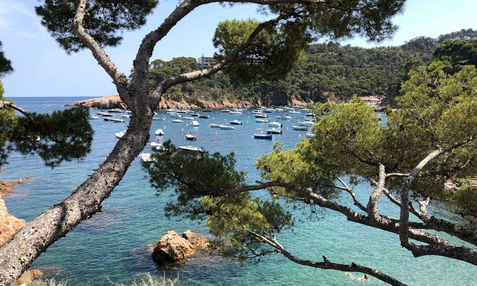 Aiguablava Apartment | Beautiful Apartment with Sea Views and the Port of Fornells