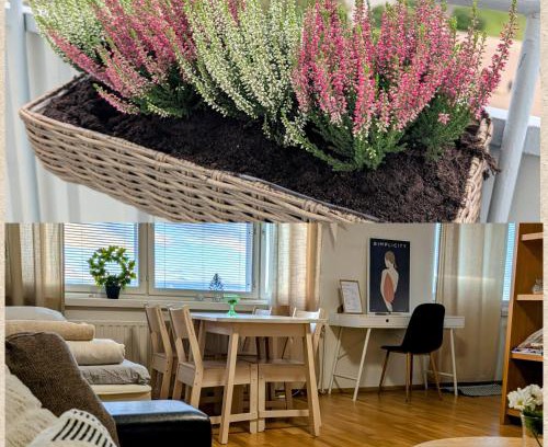 Kemi Apartment | Beautiful apartment with seaview! Top 7th floor Free parking!