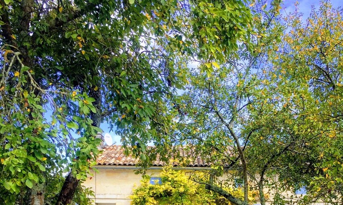 Saint-Palais-de-Phiolin House | Beautiful Gite 1 hour from Bordeaux & La Rochelle