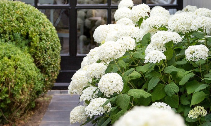 Zedelgem Cottage | Beautiful holiday home near Bruges