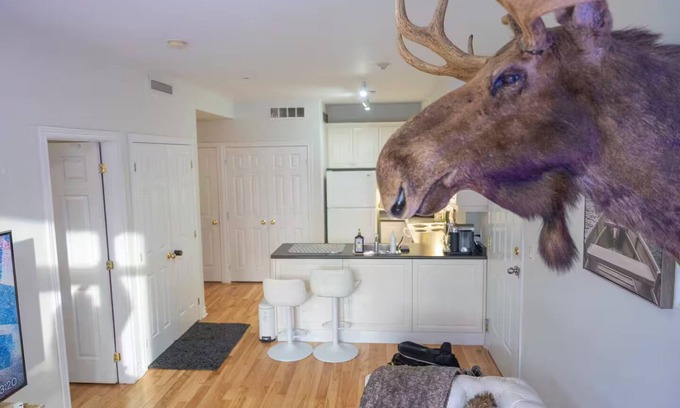 Church and Wellesley Condo | Beautiful Petit Gem Ap. In Downtown! Walk Anywhere