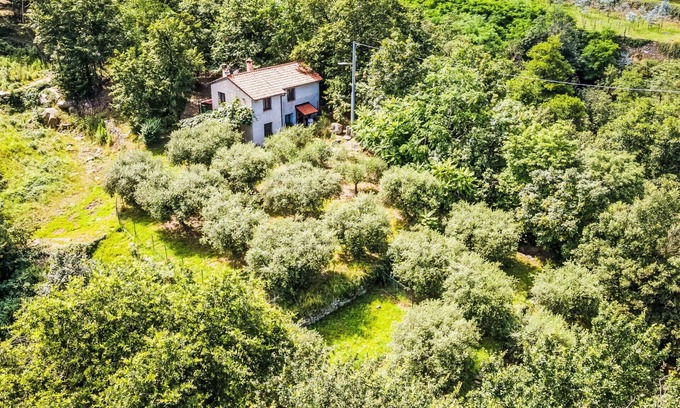 Rialto House | Beautiful private villa for 6 guests with WIFI, TV, patio, pets allowed and parking