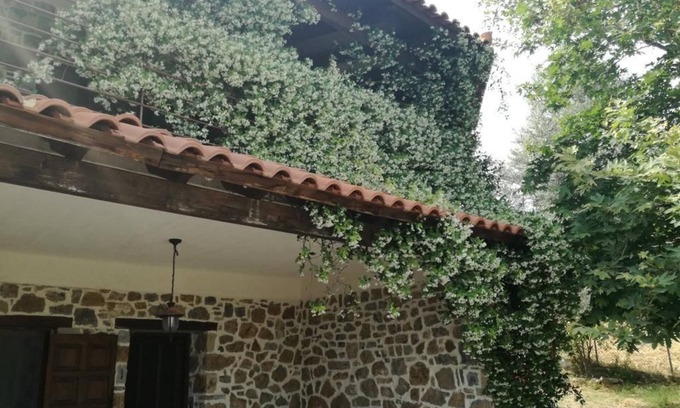 Dirfys-Messapia Villa | Beautiful stone house in Politika