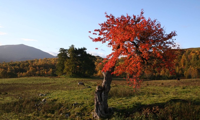 Foss Cottage | Beautifully Renovated Stone Cottage Secluded In a valley With Stunning Views