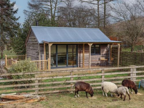 Goodmanham House | Beech Tree Cabin