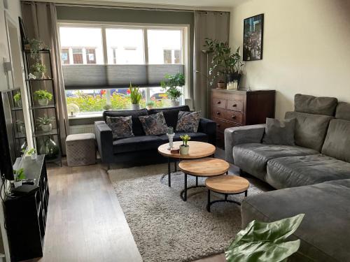 Middenbeemster House | Beemster Experience