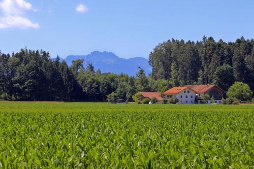 Chieming House | Beim Lenglacher