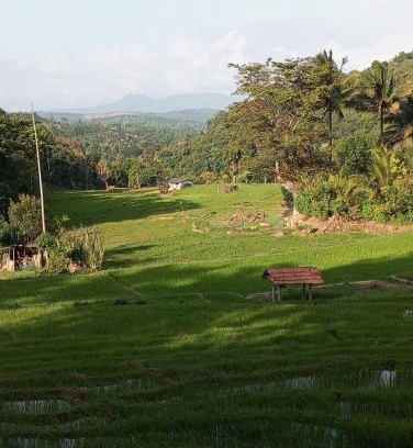Belihuloya Cabin | Belihuloya Escape and Cafe