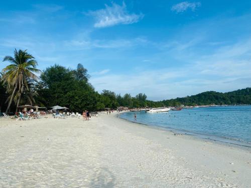 Satun Resort | Bella Vista Beach Resort Koh Lipe