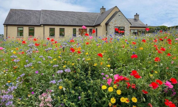 Dungannon House | Bells Holiday Homes The Homeplace