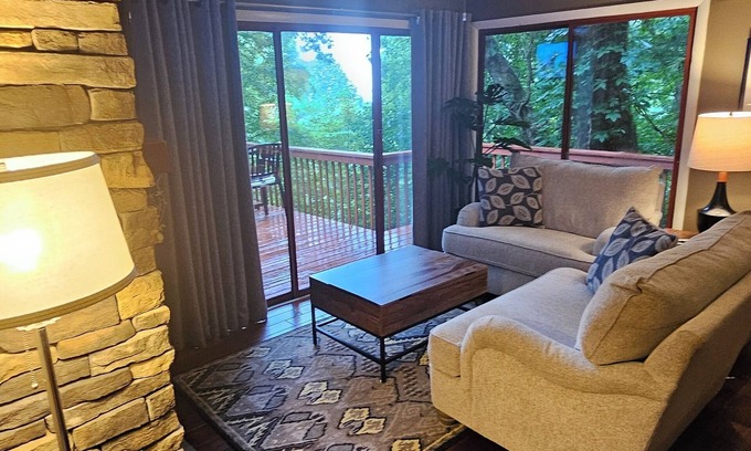 Fairview House | BELOVED BUNGALOW , hot tub, view, WiFi, near Biltmore & downtown