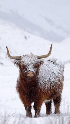 Banavie House | Ben Nevis Manor Lodge & Indoor Private Hot-Tub