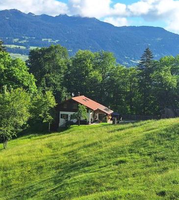 Tschagguns House | Bergmomente Montafon Ferienhaus Bitschweil