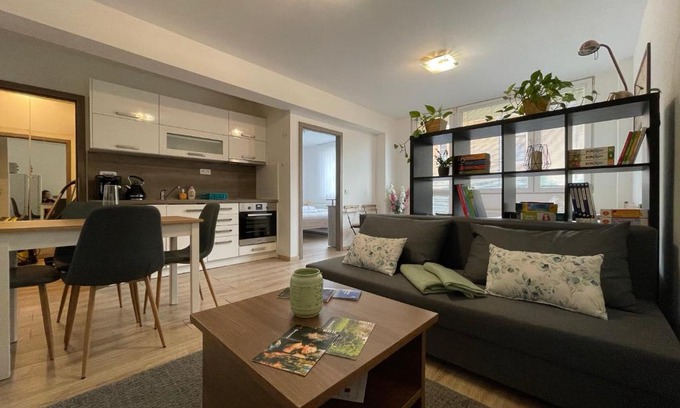 Beroun Apartment | Beroun apartments