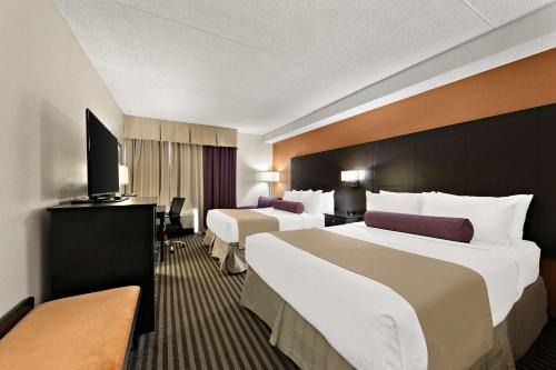 Black Creek Hotel | Best Western Plus Toronto North York Hotel & Suites