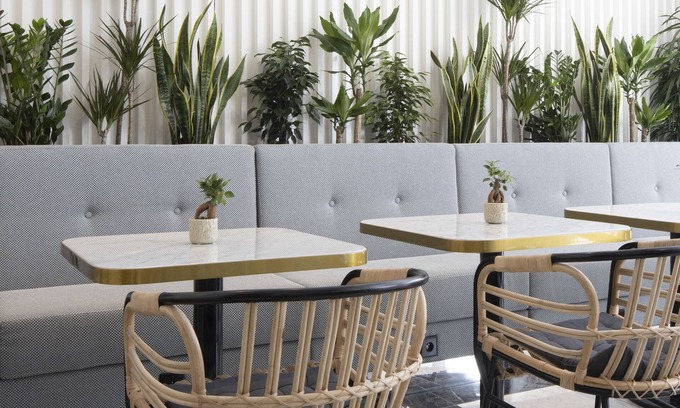 Jean-Medecin Hotel | Best Western Premier Hotel Roosevelt