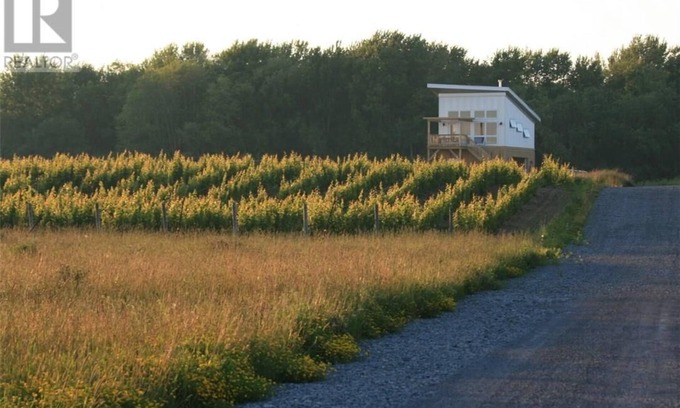 Wellington Cabin | Between the Vines