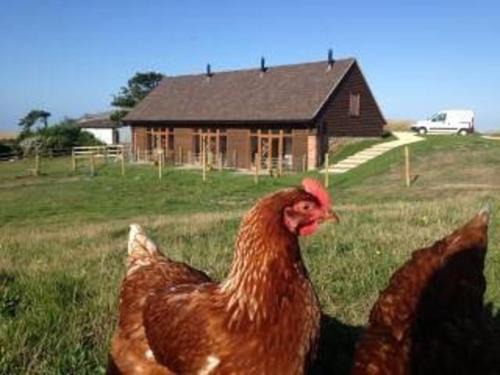 Shorwell House | Bike Shed 1-Bed Cottage Sleeps 2 Pet Friendly
