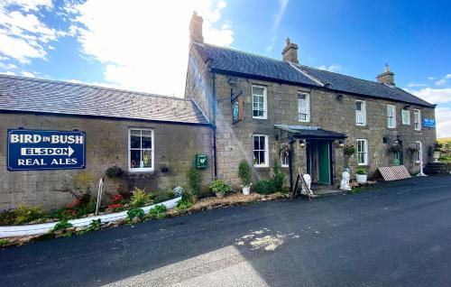 Elsdon Hotel | Bird In Bush Elsdon