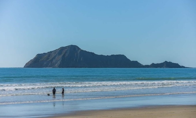 Waimarama Apartment | Birdsnest@PORT O BEIJO -Relaxed Accommodation