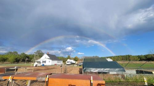 Diggs Other | Blanchard Farm