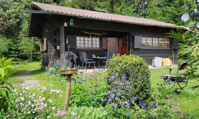 Muehlenbach Apartment | Blockhaus mit einem Schlafraum, gemütlichem Wohnzimmer, großer Terrasse und Liegewiese, Grillplatz und Garage