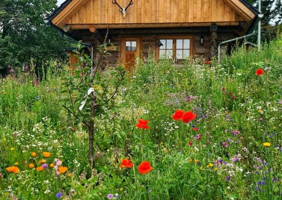 Braunlage House | Blockhaus PanHütte