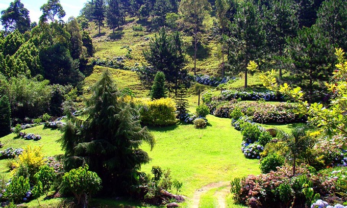 Timbo Hotel | Blue Hill Hotel
