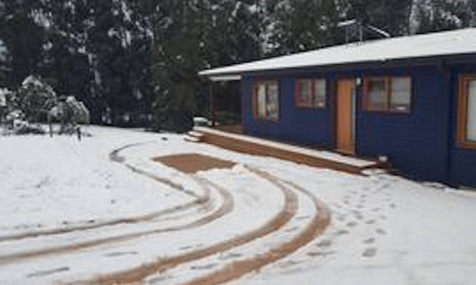 Marysville House | Blue House - Spring time specials!