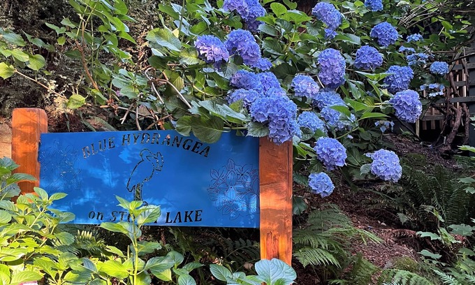 Three Lakes House | BLUE HYDRANGEA LAKESIDE RETREAT SNOHOMISH WA close to Seattle, Puget Sound