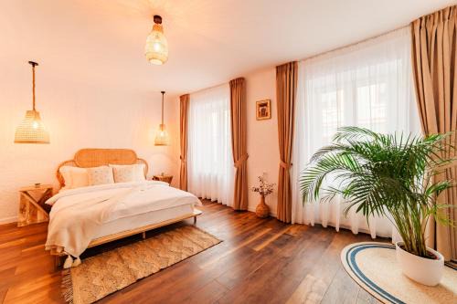 Brasov City Centre Apartment | Blue Nest Old Town Brasov