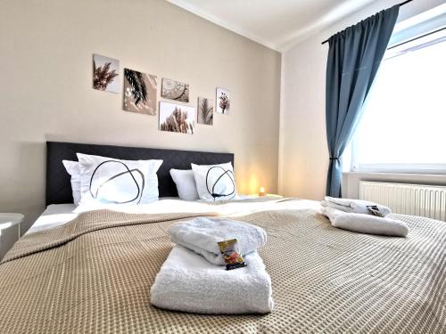 Andreasvorstadt Apartment | BohnApartments XL Suite - 2 Schlafzimmer mit Balkon - Zentrum - Petersberg - Domplatz