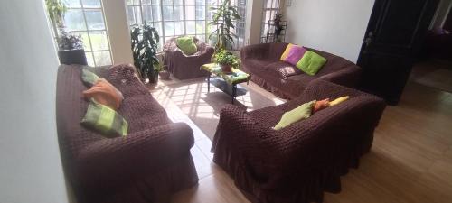 Alto Boquete Cabin | Boquete Guest House