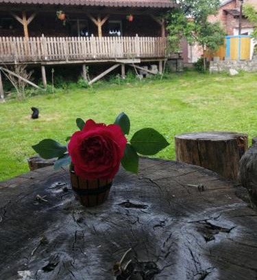 Turnu Ruieni House | Borlova/Muntele Mic