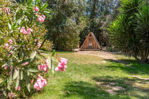 El Monte Other | Bosques del Paico