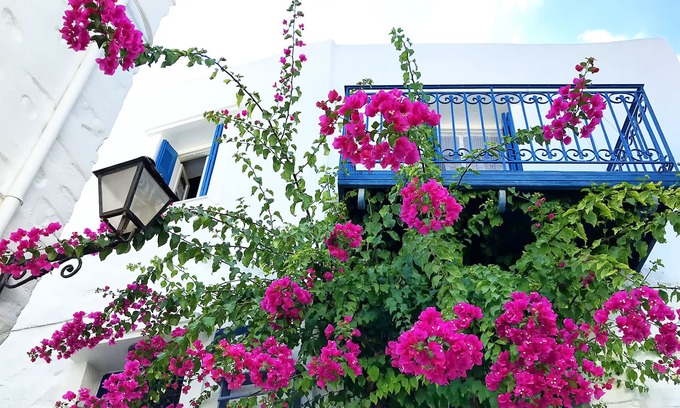 Ano Siros House | Βougainvillea House