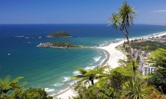 Mount Maunganui House | BOUTIQUE CENTRAL MOUNT HOUSE - KAYAKS, few mins to beach, harbour, cafes, shops