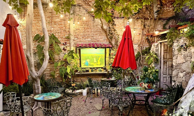 Colonia San Antonio Bed & Breakfast | Boutique Hotel Casa Camellia
